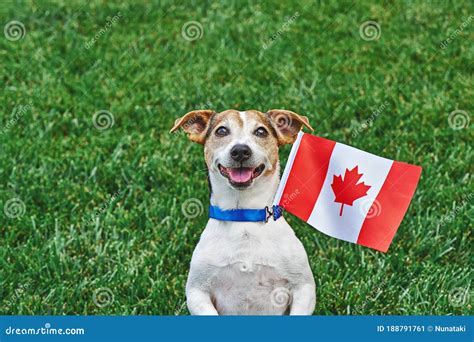 Canada Farm Holidays for Dogs & Cats